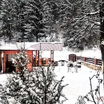 Karpaty Gutsulska * Mykulychyn