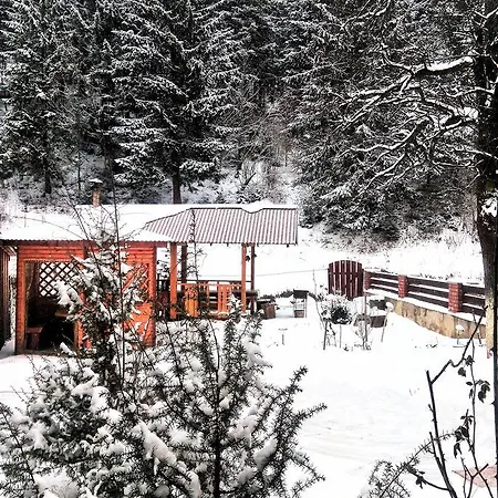 Karpaty Gutsulska * Mykulychyn