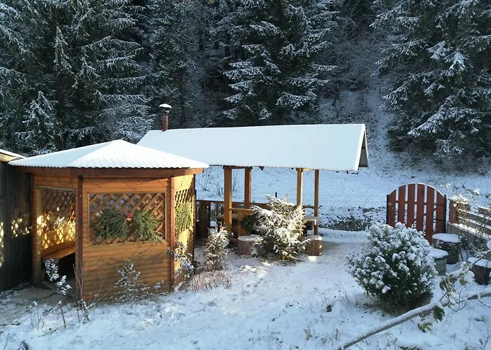 Karpaty Gutsulska * Mykulychyn
