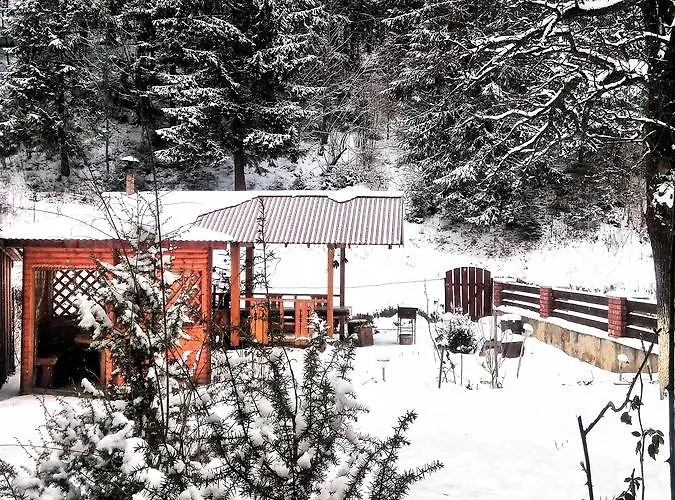 Karpaty Gutsulska * Mykulychyn